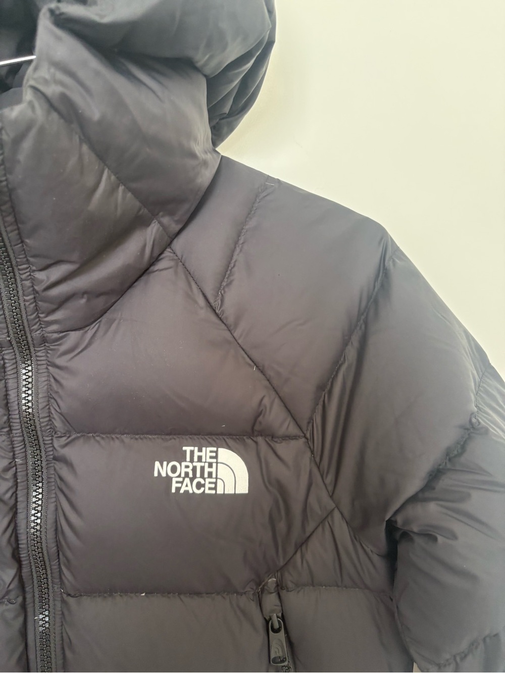 North Face Black Hydrenalite Down Hooded Puffer Jacket Size M - Picture 3 of 8